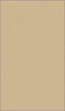 Однотонный ковер бежевый MIDI T600 BEIGE